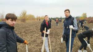 Командна робота під час висадження дерев у лісництві